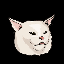 lmeow icon